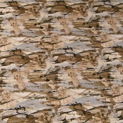 Naturescape Print; Beach, Rocks, Fields or Desert, Browns, Cotton, BTHY or BTY