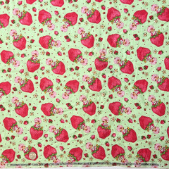VTG Strawberry Shortcake Those Characters From Cleveland 2003 Flannel Green BTY