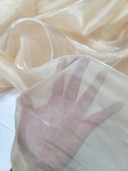 CRYSTAL ORGANZA ORGANDY Champagne Beige Fabric Sold By The Yard For Dress Silky