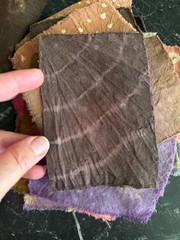 Amazon Rainforesr Plant dyed fabric swatches cotton cloth natural