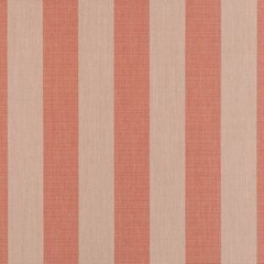 Sunbrella® Indoor / Outdoor Upholstery Fabric – Expressive Blush 14123-0000
