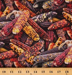 Cotton Corn Thanksgiving Fall Autumn Fabric Print by the Yard D514.35