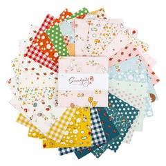 Charm Pack 5″ Stacker 42pc Riley Blake “Serendipity 2” by Minki Kim
