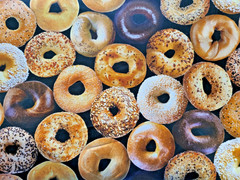 Loads Bagels realistic food cotton quilting fabric bhy x 43″ w yummy breakfast