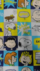 Peanuts Worldwide 2021 Flannel Fabric Checks Comic Grid 1 yd x 44″Snoopy & Gang