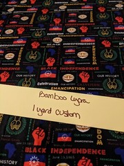 Cheap Apparel Fabric