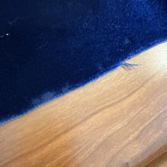 3 Pieces DESIGNER PLUSH MOHAIR BLUE VELVET WOOL MULTIUSE FABRIC