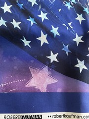 Robert Kaufman – Land Of The Free – 24″ Lady Liberty Panel – Multi Color- July 4