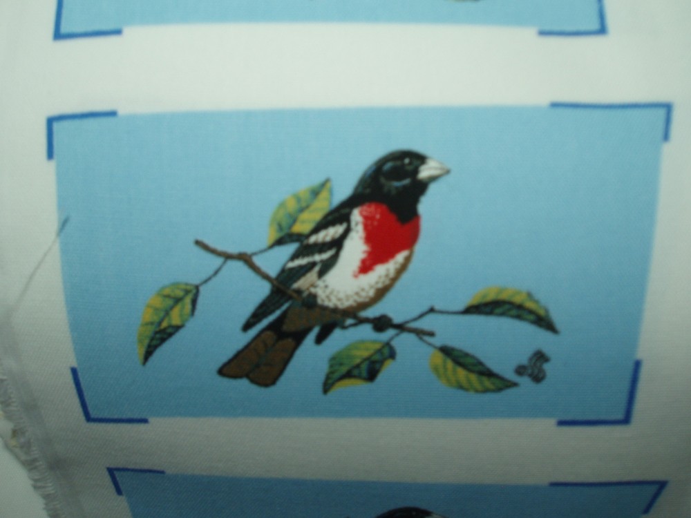 1 fabric panel, 6 sets of oven mitt tops, BIRD: Rose Breasted Grosbeak
