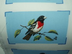 1 fabric panel, 6 sets of oven mitt tops, BIRD: Rose Breasted Grosbeak