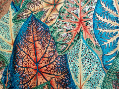 Free Spirit Kaffe Fassett Phillip Jacobs PWPJ108 Caladiums 32″ x 44”