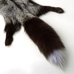 Natural Tanned Silver Fox Hides Fur Pelts Graded 1 Fox Skin Hides for Fly