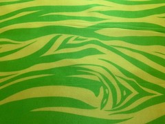 Lime Green Zebra Stripe China Silk HABOTAI Fabric 12mm weight 54″ width