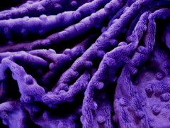PURPLE MINKY CUDDLE DIMPLE DOT PLUSH KNIT SEW QUILT CRAFT FABRIC BTY & PRECUTS