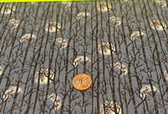 Halloween * Moons & Trees on Blue/Gray * Studio E * 100% Cotton * 8″ x 21″