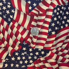 July 4th Independance Day American Flags Allover VIP Cranston Red/White/Blue