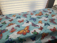 Fabric Blue Sky Butterfly 44”x 446”By Cranston print work 315
