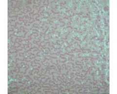 Luxury Sequin Dance Wear Stretch Fabric Material – WHITE PEARL