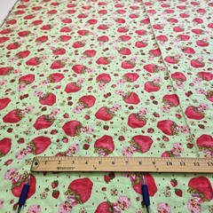 VTG Strawberry Shortcake Those Characters From Cleveland 2003 Flannel Green BTY