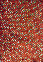 VTG `70`s Ditzy CALICO Green Gold & White Florals on Red Cottagecore BTFQ