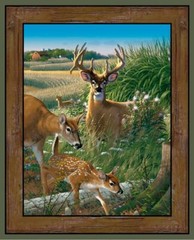 36x44in Fabric Panel | Spring Creative | Wild Wings Deer Brown Wall Border