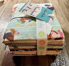 Forever Neverland 21 PC FQ Bundle Jill Howarth for Riley Blake – Peter Pan