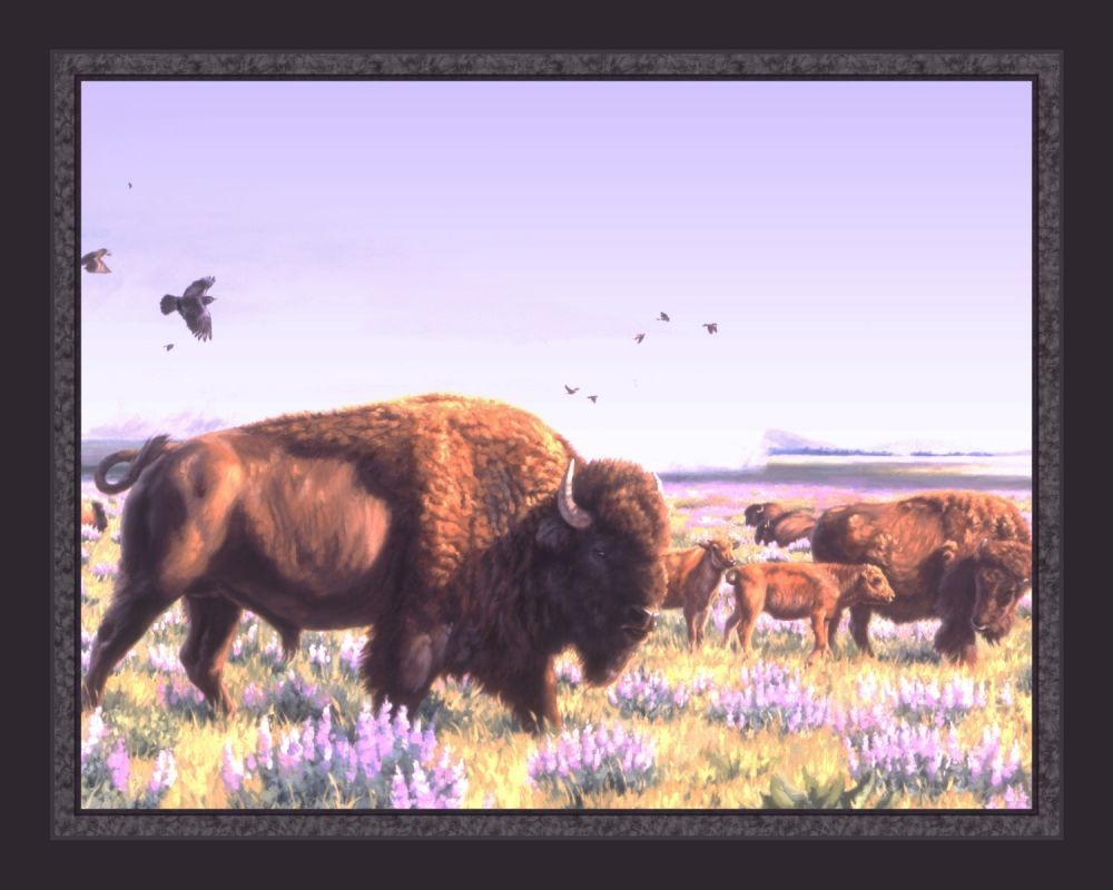 45″ Summer Shower Buffalo Cotton Panel