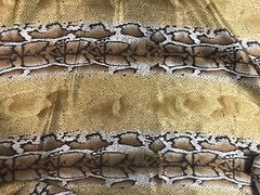 Snake Print Charmers Satin Fabric 60” Width Sold By The Yard