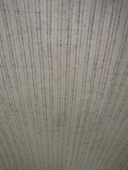 Pleasure 3420 Natural Chenille Chromatex Mills – 5+yds=$0 S&H