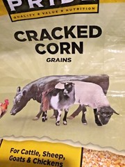 Assorted 50 Pound Feed Bags Chickens Cows Goats Set of Four Empty