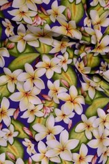 Hawaiian Print, Life-Sized Pua Melia (Plumeria Flowers) on Purple, BTHY or BTY