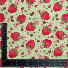 VTG Strawberry Shortcake Those Characters From Cleveland 2003 Flannel Green BTY