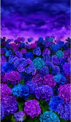 Midnight Blooms Blue Flying ButterfliesTimeless Treasures BTY 44″ Wide