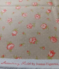 Strawberry Fields (Original) by Fig Tree for Moda Fabric 2 yards VERY RARE (bonu
