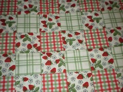 Strawberries Flowers Checkered Blocks Lauren Lee Jo-Ann Fabrics 1.44 yards