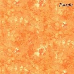 Solid-ish Tone on Tone cotton fabric BTY Timeless Treasures PAPAYA Orange Tonal