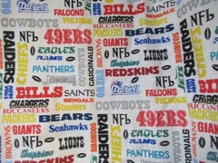 N.T.T. INC. NFL FOOTBALL ALL TEAMS NAMES COTTON FABRIC VTG. 1994 SBTYX59