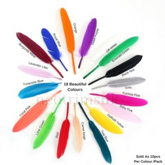 Neotrims 10 Pcs Goose Quill Feathers,18 Colors,Loose,Trimmings,Crafts,Millinery