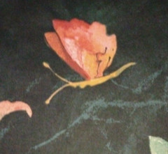 Texoprint Netherlands Fabric Bird Pears Butterfly Flowers 56″X130″