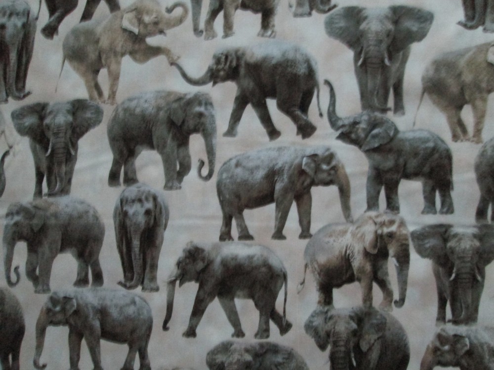 ELEPHANT REALISTIC ELEPHANTS CREAM COTTON FABRIC FQ