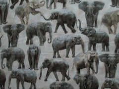 ELEPHANT REALISTIC ELEPHANTS CREAM COTTON FABRIC FQ