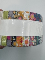 Windham fabrics SOLSTICE By Sally Kelly Jelly Roll 2.5 Strips