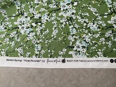 Fabric First Flourish Green By RJR Fabric 42” x 45”360