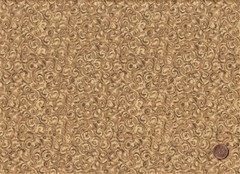 Brown Camel Golden JELLY ROLL: 20) 2 1/2″ x 44″ Strips, 100% Cotton Fabric