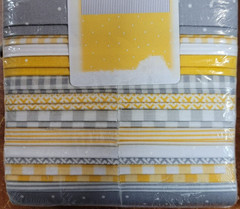 Wilmington Prints 40 Karat Gems Sterling And Gold Fabric Strips – NEW