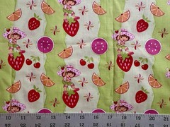 Strawberry Shortcake Citrus Fruits Cotton Fabric – BTFQ: 18” x 22”