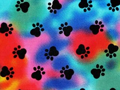 Paw Prints on Tie Dye Novelty Fabric, By the Half Yard, Dogs