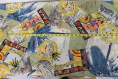Pin Up Girls Fabric Baja Aloha Palm Beach Bikini Sheer Polyester 3 Yards Remnant