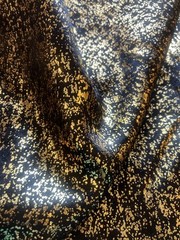 Black / Gold Metallic Damask Jacquard Brocade Fabric (110 in.) Sold By The Yd