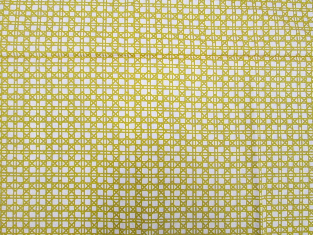 LILLY-BELLE by BARI J ART GALLERY -1 YARD PRE-CUT- Cotton – Very Nice!!!